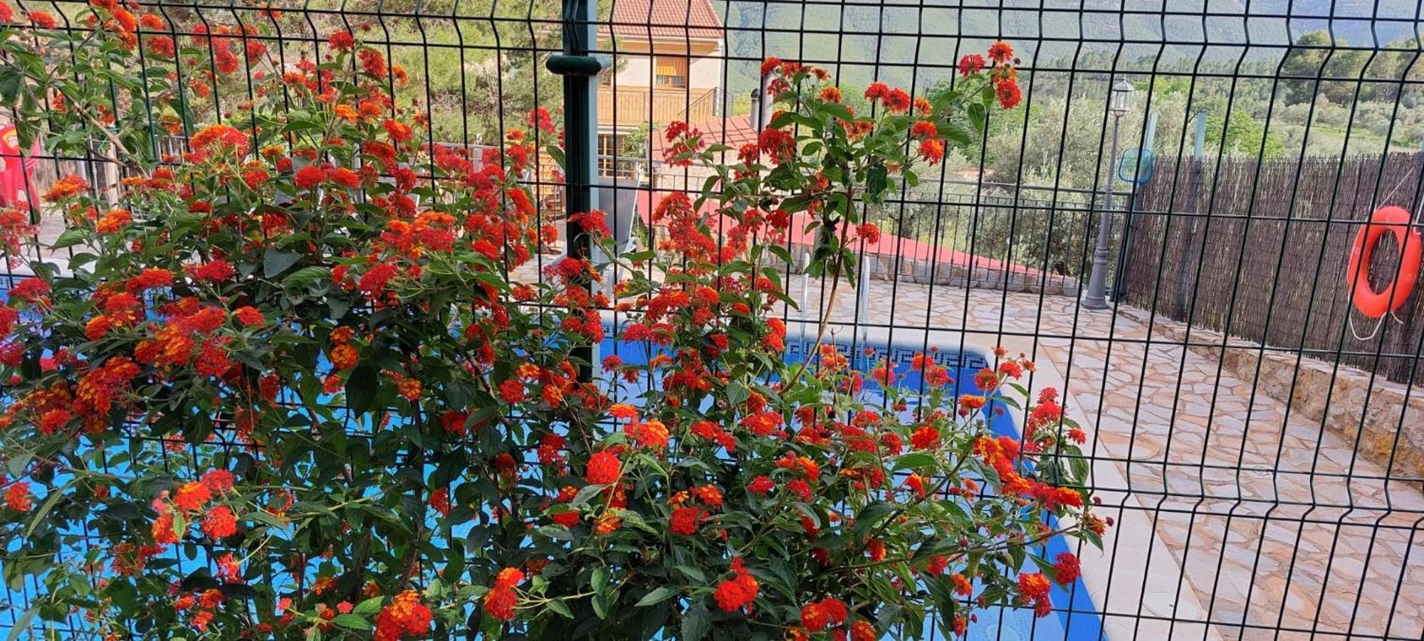 Casas Rurales Cerro Lobo 耶斯特 外观 照片