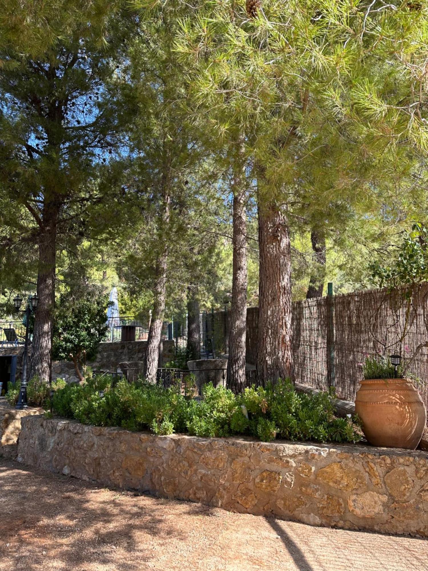 Casas Rurales Cerro Lobo 耶斯特 外观 照片