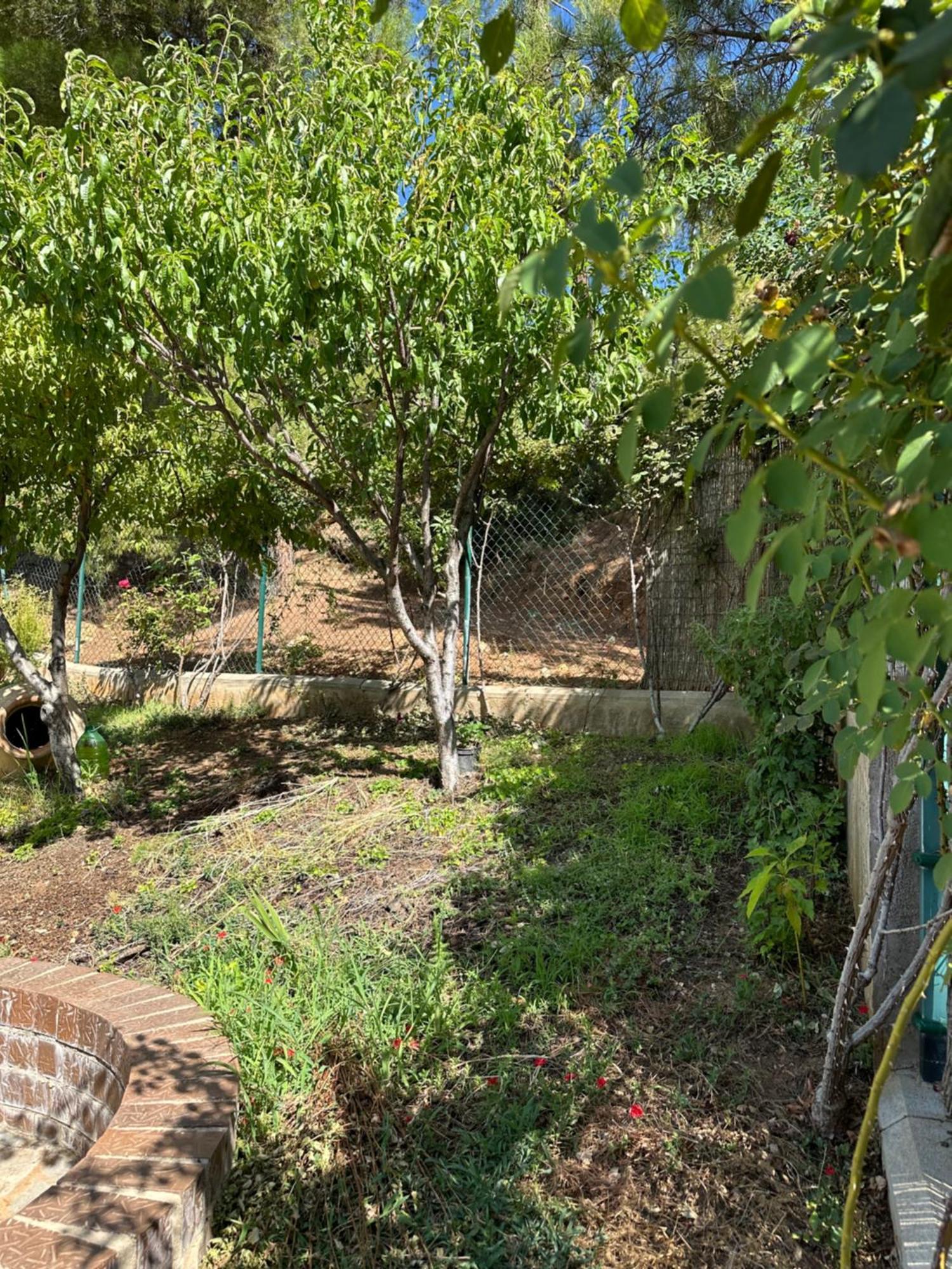 Casas Rurales Cerro Lobo 耶斯特 外观 照片
