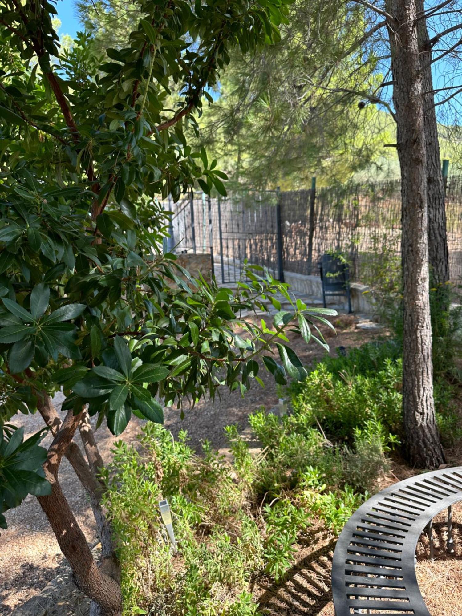 Casas Rurales Cerro Lobo 耶斯特 外观 照片