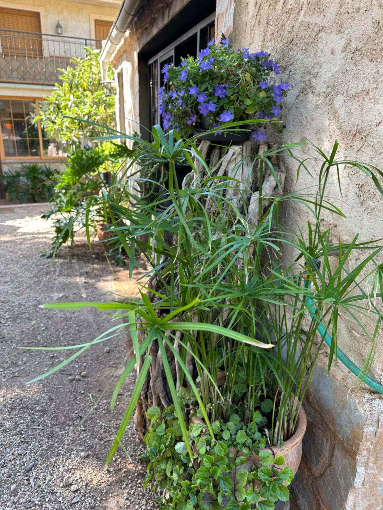 Casas Rurales Cerro Lobo 耶斯特 外观 照片